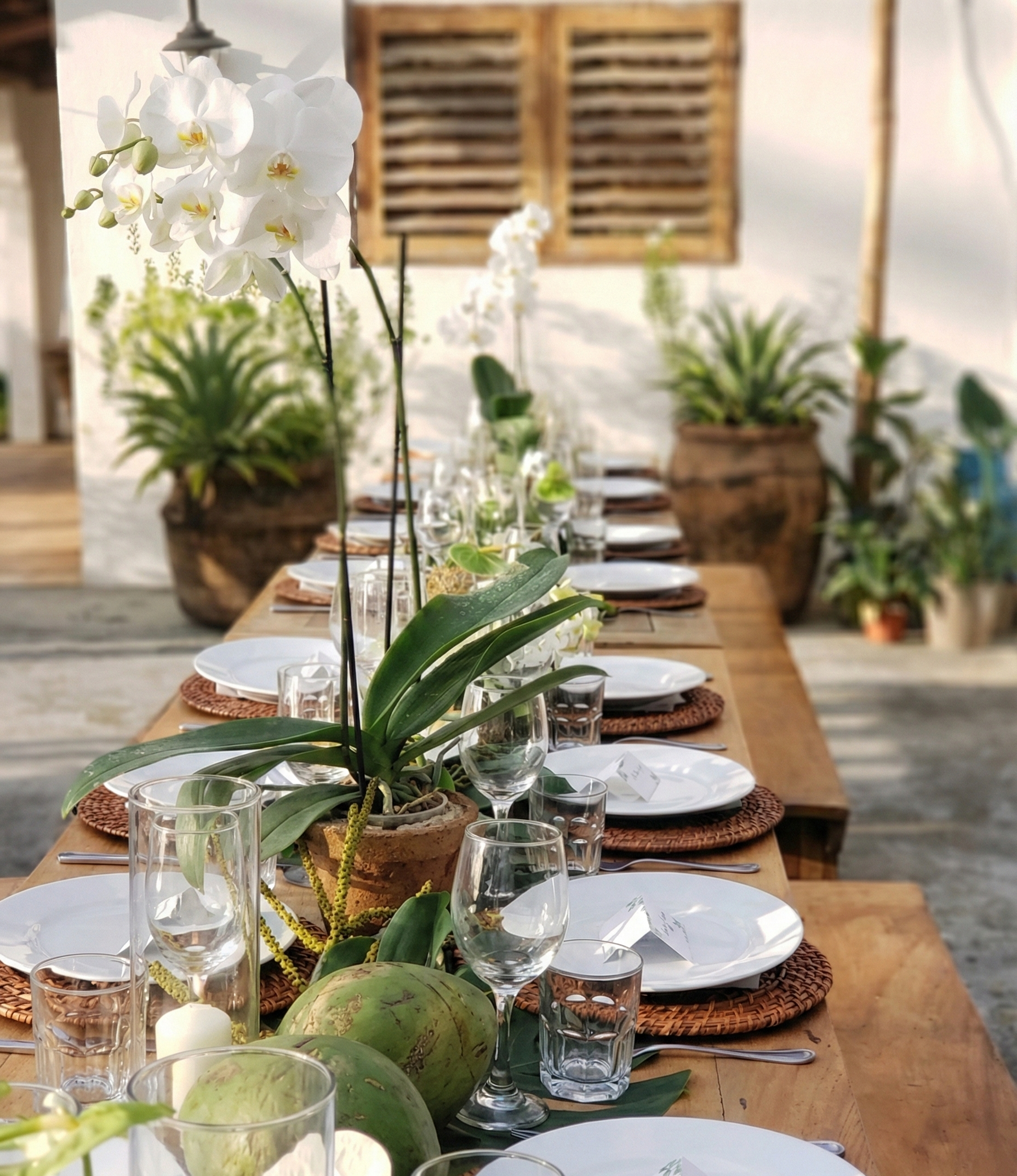 Esh - Artisan bakery and bistro in Nosara